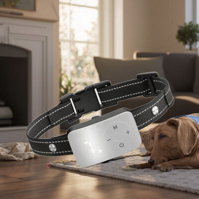 Buy Rechargeable Electric Dog Training Collar Bark Control Beep Vibration Shock Features Waterproof IPX5 20 Hours Battery Life for online manufacture