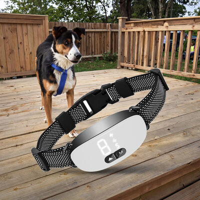 Buy Smart Rechargeable Bark Control Dog Training Collar Eco-friendly Plastic/Nylon/ABS IP67 Waterproof >20 Hours Battery Life online manufacture