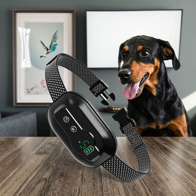 buy E-Commerce Best Seller Waterproof Rechargeable Plastic Dog Bark Control Collar Large/Medium/Small Dogs Anti-Barking Training online manufacture