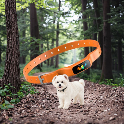 buy New Fashion Rechargeable Eco-Friendly Waterproof Plastic Electronic Dog Training Collar Smart Puppy Bark Stopper Outdoor Use online manufacture