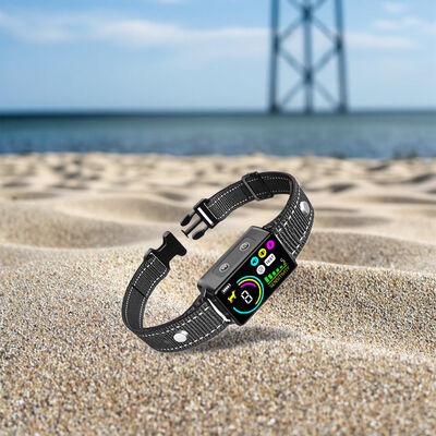 Buy M Intelligent Rechargeable Eco-friendly Plastic Dog Training Collar LCD Color Screen Waterproof IP67 Long Battery Life Bark Stop online manufacture