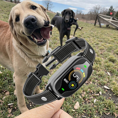 buy Smart Automatic Anti-Bark Dog Training Collar Rechargeable IP67 Rated Eco-friendly Plastic Vibrating Shock 20+ Hours Battery online manufacture