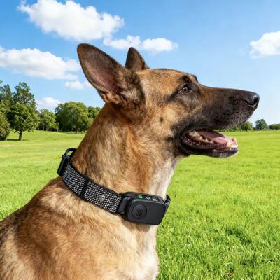 buy New Rechargeable Dog Trainer Anti-Barking Waterproof IP67 Vibration Collar Adjustable Eco-Friendly Pet Supplies online manufacture
