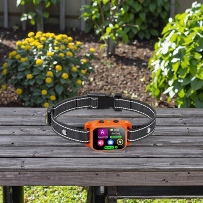 buy 2025 New Rechargeable Vibration Anti-Dog Barking Waterproof IP67 Eco-Friendly Plastic Smart Mini Training Collar Long Battery online manufacture