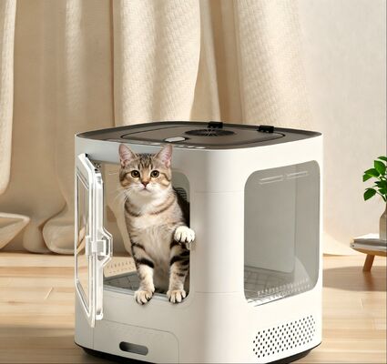 Buy Automatic Plastic Pet Drying Box with Transparent Door Temperature Control Ventilated Design Quiet Operation Easy to Clean Safe online manufacture