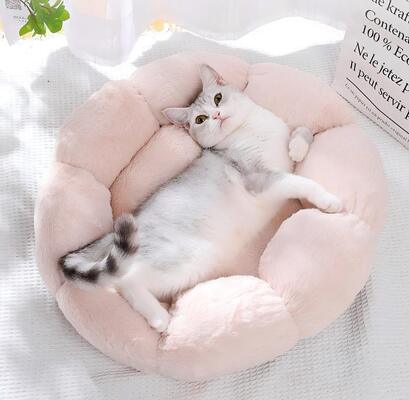 Buy Soft Wool Cat Bed-Cozy Fluffy Pet Furniture with Removable Washable Cover for Cats online manufacture
