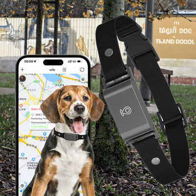 Buy New Arrival Real-Time GPS Pet Tracker 4G Smart Collar App for Cats Dogs IPx6 Waterproof >20h Battery Voice Calls Compatible online manufacture