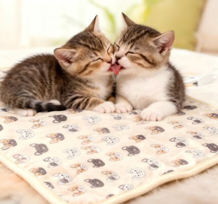 Buy Safe Smart Pet Heating Blanket with Temperature Control Removable Washable Soft Cotton Round 300g for Chickens online manufacture