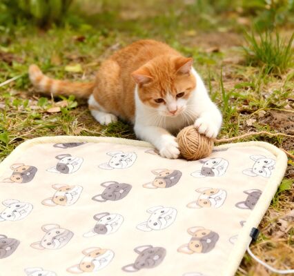 Buy Heating Smart Pet Blanket with Temperature Control Removable Washable Energy Efficient Cotton 300g for Chickens online manufacture