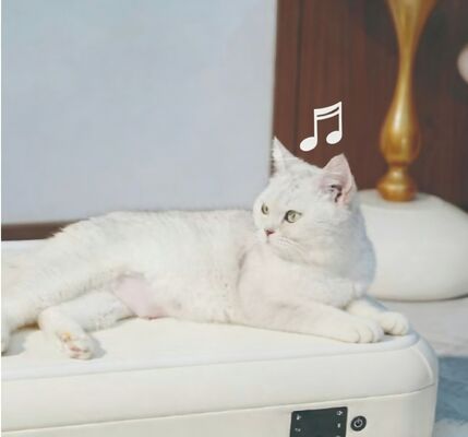 Buy Soft Wool Cushion Cats Pet Mat Smart Heating Massage LED Lights Non Slip Indoor Use online manufacture