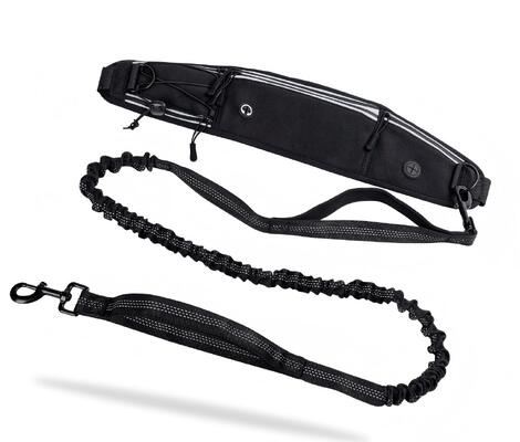 Buy Pet Accessories Comfortable Dog Leash Adjustable Collar for Dogs Cats Durable 100% Nylon Letter Pattern Reflective Decoration online manufacture