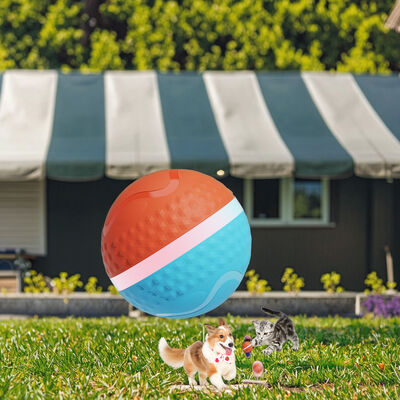 Buy 2025 Rechargeable Eco-Friendly Silicone LED Flash Light Cute Automatic Rolling Ball Motion Activated Interactive Movement Toy online manufacture