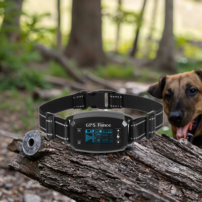 Buy Automatic GPS Wireless Waterproof Eco-Friendly Rechargeable Nylon Plastic Electronic Dog Fence OLED Screen Smart Pet Electric online manufacture