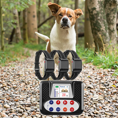 Buy Smart Rechargeable Wireless Plastic Outdoor Dog Fence Training Collar Waterproof IP67 Electronic Shock Stop Barking Pet Training online manufacture