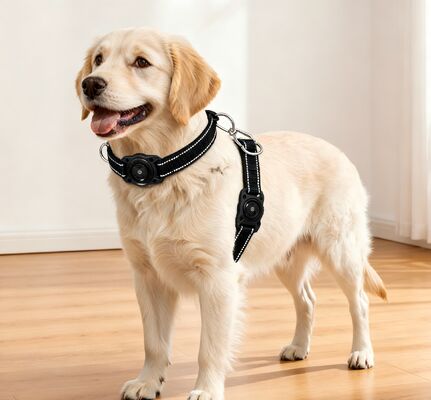 Buy Soft Padded GPS Dog Collar Real Time Tracking Waterproof Reflective Durable Metal Buckle online manufacture