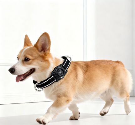 Buy Safe Plastic GPS Navigator Dog Collar Real-Time Tracking Waterproof Reflective Soft Padded Breakaway Buckle 3 Year Battery Life online manufacture