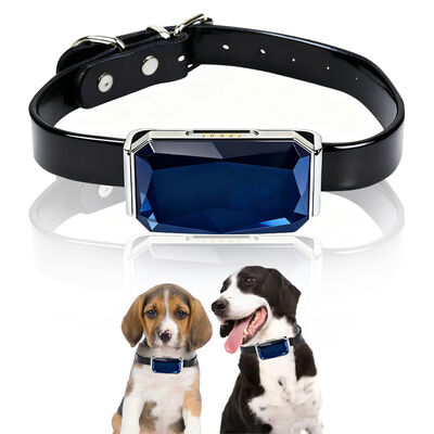 Buy Black Leather Dog Collar for Dogs Blue Gem Shaped GPS Tracker Adjustable Metal Buckle Real Time Tracking online manufacture