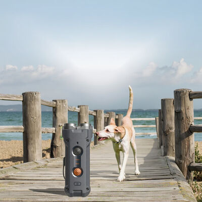 buy New Style Sustainable Portable Rechargeable Waterproof Ultrasonic Dog Repeller Anti-Barking Training Device Handheld Outdoor Use online manufacture