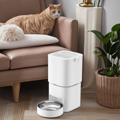 Buy Smart Automatic Cat Dog Pet Feeder Large 6 Liter Capacity Eco-Friendly Solid Plastic Waterproof IPX5 Battery Powered online manufacture