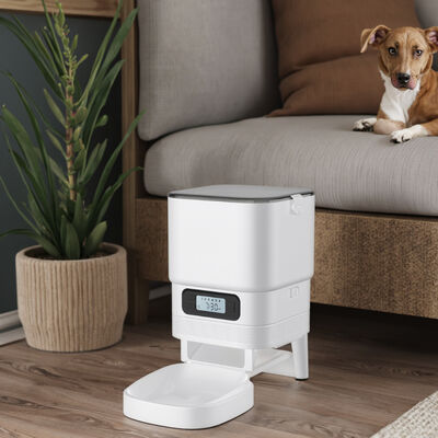 Buy Automatic Eco-Friendly Plastic ABS Dog Cat Feeder Chargeable Battery-Powered LCD Display Timer Quadrate Bowls Waterproof IPX5 online manufacture