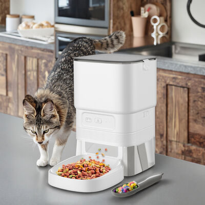 Buy New Arrival 4L Eco-friendly Plastic App Control Automatic Pet Feeder with Timer WiFi Battery Power for Cats & Dogs online manufacture
