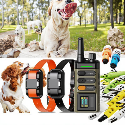 buy Professional Training Eco-friendly TPU ABS Anti-Barking Dog Trainer Smart Collar Color Screen Rechargeable Battery IPX7 Agility online manufacture