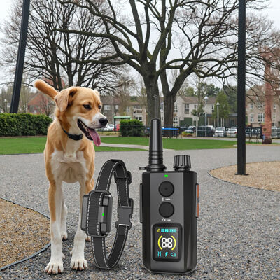 buy Intelligent Remote Control Electric Shock Collar Adjustable Color Screen Waterproof IPX7 Pet Training Supplies for Dog online manufacture