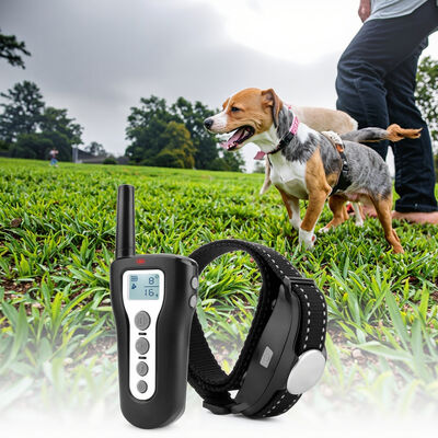 buy Waterproof Eco-Friendly Fashion Rechargeable Plastic Nylon Dog Training Collar Large Pets 3 Modes Beep Vibration Shock 1000ft online manufacture