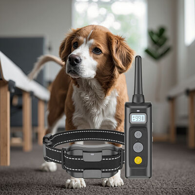 buy 2025 Waterproof Rechargeable Eco-Friendly Fashion Electronic Bark Dog Training Cheap Wired Shock Collar Remote Control Made TPU online manufacture