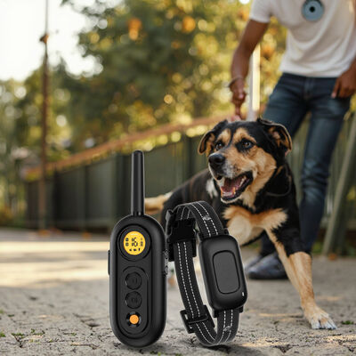 buy Fashionable Eco-Friendly Modern Nylon PC Plastic Rechargeable Electric Dog Training Shock Collar Waterproof Safe Remote Beeper online manufacture