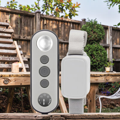 Buy Fashionable Plastic Nylon Electronic Dog Agility Training Collar PT-520 Remote Control Bark Stopper Spray Feature Waterproof online manufacture