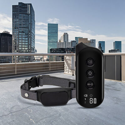 buy Rechargeable Eco-Friendly Nylon Dog Agility Training Collar Waterproof Walkie Talkie Remote Batteries Cute Modern Fashion Style online manufacture