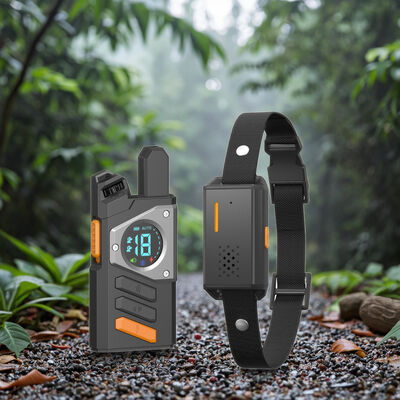 buy Rechargeable 1640ft Smart Dog Training Collar Nylon Eco-Friendly Fashionable Plastic Anti Bark Remote Control Waterproof No online manufacture