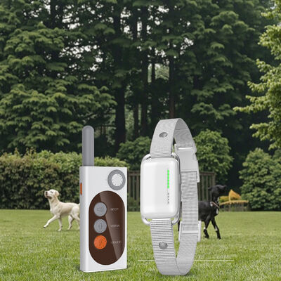 Buy Waterproof IP67 Rechargeable Eco-Friendly Nylon Fashion Plastic 1000m Remote Control Dog Training Collar Shock-Free Vibration online manufacture