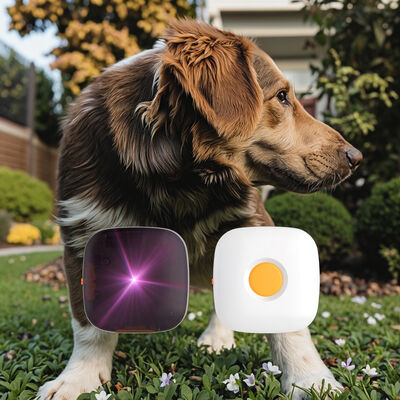 Buy 2025 Mini Interactive Remote Control Rechargeable E-Collar Dog Training IP67 Waterproof Plastic No Shock Vibration Reminders for online manufacture
