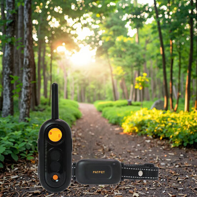 buy Waterproof Rechargeable Remote Control Training Collar C-Neck Eco-Friendly Nylon PC Beep Vibration Shock Fashion Style Dogs online manufacture