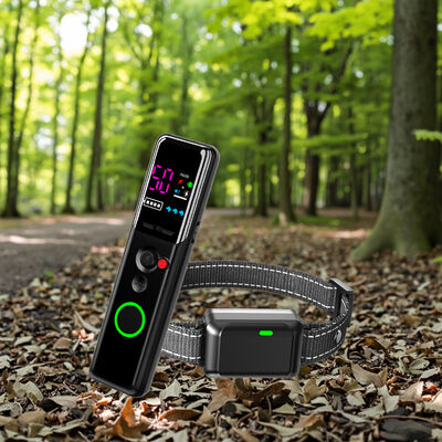 Buy Innovation Design Eco-friendly ABS Material Color Screen IP67 Waterproof Rechargeable Long Battery Life Wireless Dog Training online manufacture