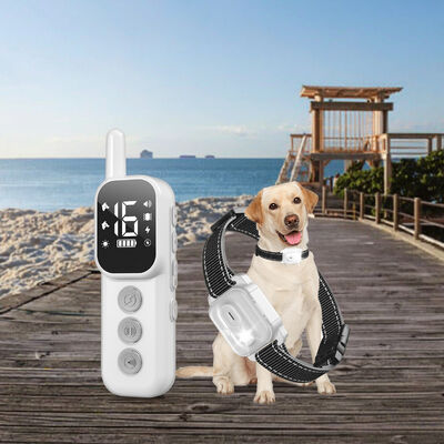 Buy Waterproof Rechargeable Fashion Pet Training Collar 800m Remote Control Electric Shock Vibration Warning Portable Dog Trainer online manufacture