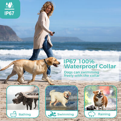 buy Remote Control Smart Dog Training Collar Anti-Bark IPX7 Waterproof Rechargeable Adjustable Modes Nylon Plastic Fashion online manufacture