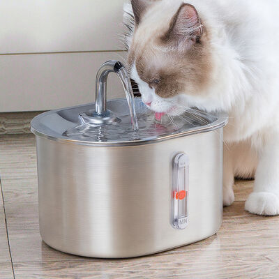 Buy 2.5L 304 Food Grade Stainless Steel Eco-Friendly Automatic Pet Water Feeder 5V Filtration Purification Mute Drinking Fountain online manufacture
