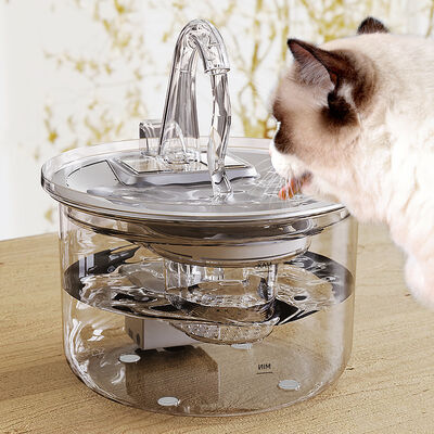Automatic 2.2L Transparent Pet Water Dispenser New Design Eco-Friendly Plastic Artifact Filter Stylish Charging Source for Dogs