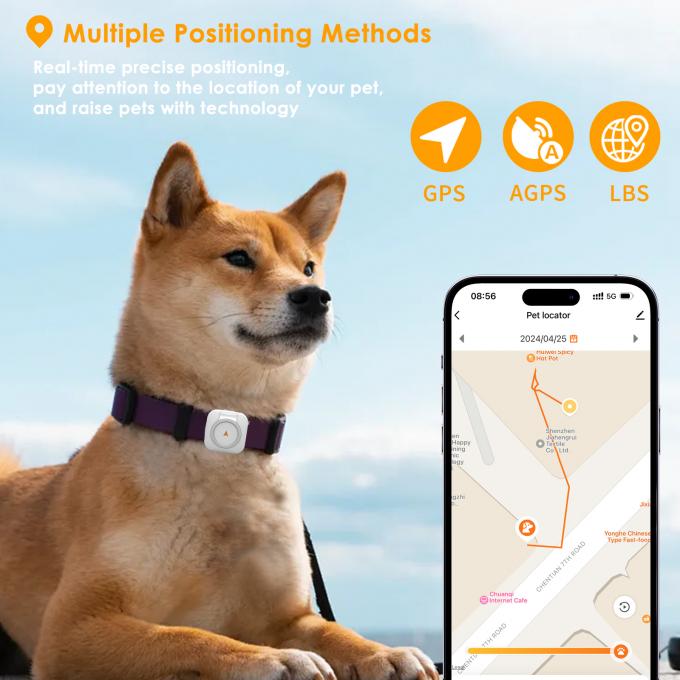 Mini 4G GSM Bluetooth Pet Tracker Waterproof IP67 GPS Micro Locator ABS ...